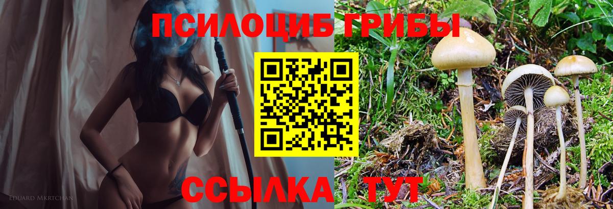 Галлюциногенные грибы мицелий  Вход с VPN  Галлюциногенные грибы MAGIC MUSHROOMS  Трёхгорный 
